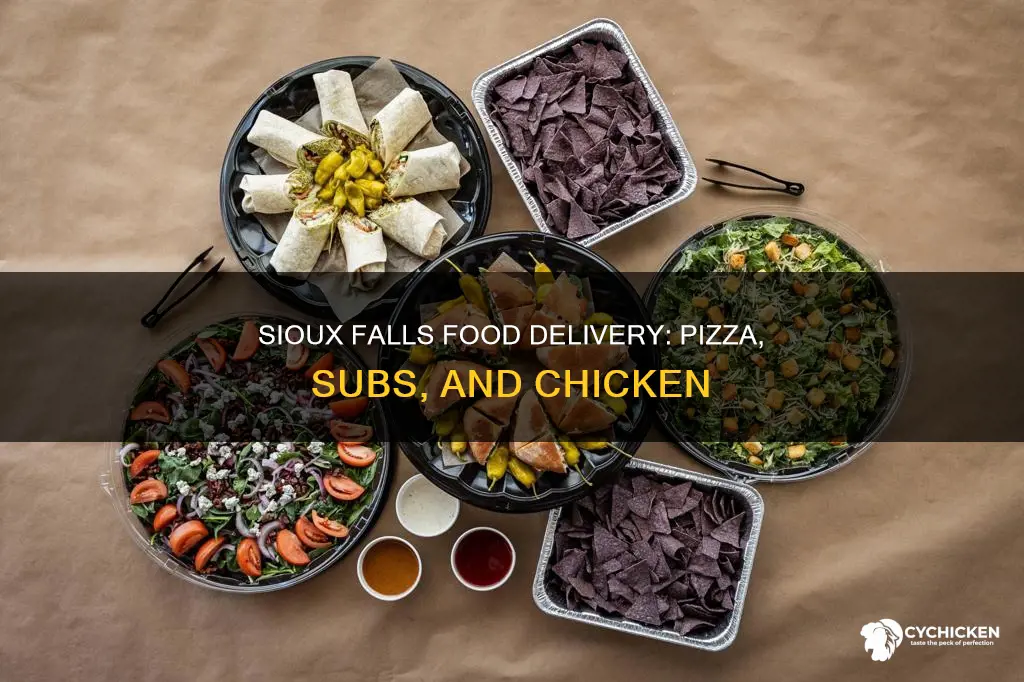 who delivers pizza subs and chicken in sioux falls sd