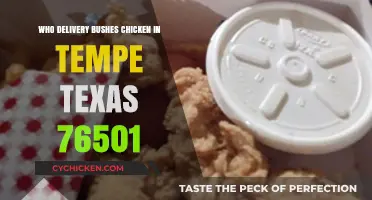 Tempe, Texas 76501: Who Delivers Bush's Chicken Locally?
