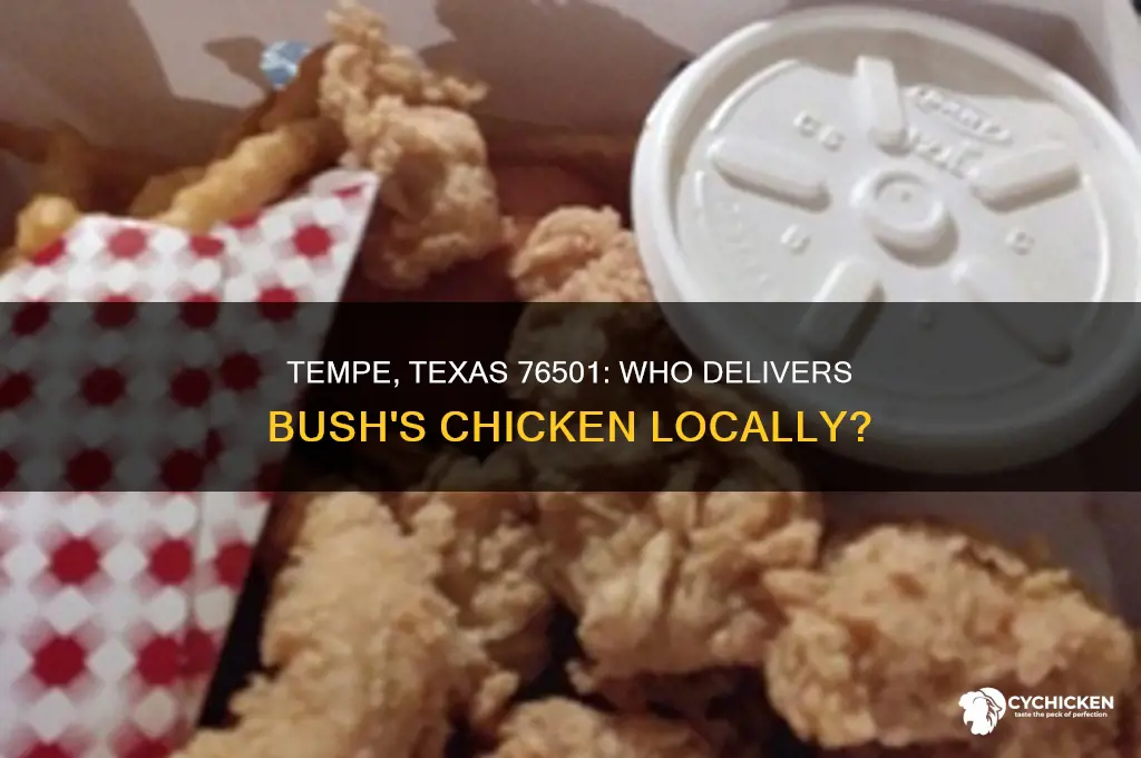 who delivery bushes chicken in tempe texas 76501