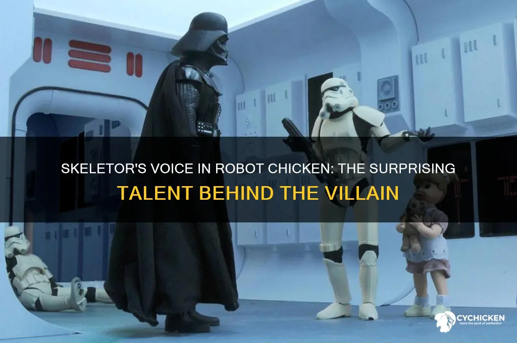 who did the voices for skeletor robot chicken