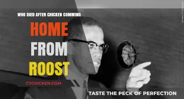 Malcolm X's Assassination: The Aftermath of 'Chickens Coming Home to Roost