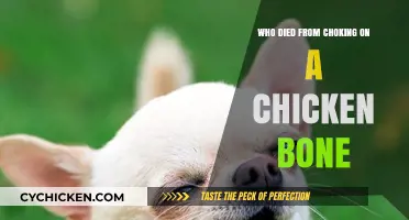 Tragic Deaths Caused by Choking on a Chicken Bone: Shocking Stories