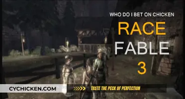 Betting on Chicken Race: Who to Choose in Fable 3