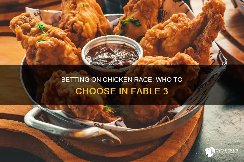 who do i bet on chicken race fable 3
