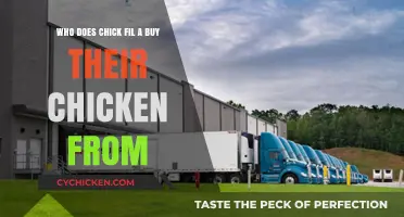 Unveiling Chick-fil-A's Chicken Suppliers: A Deep Dive into Their Sources