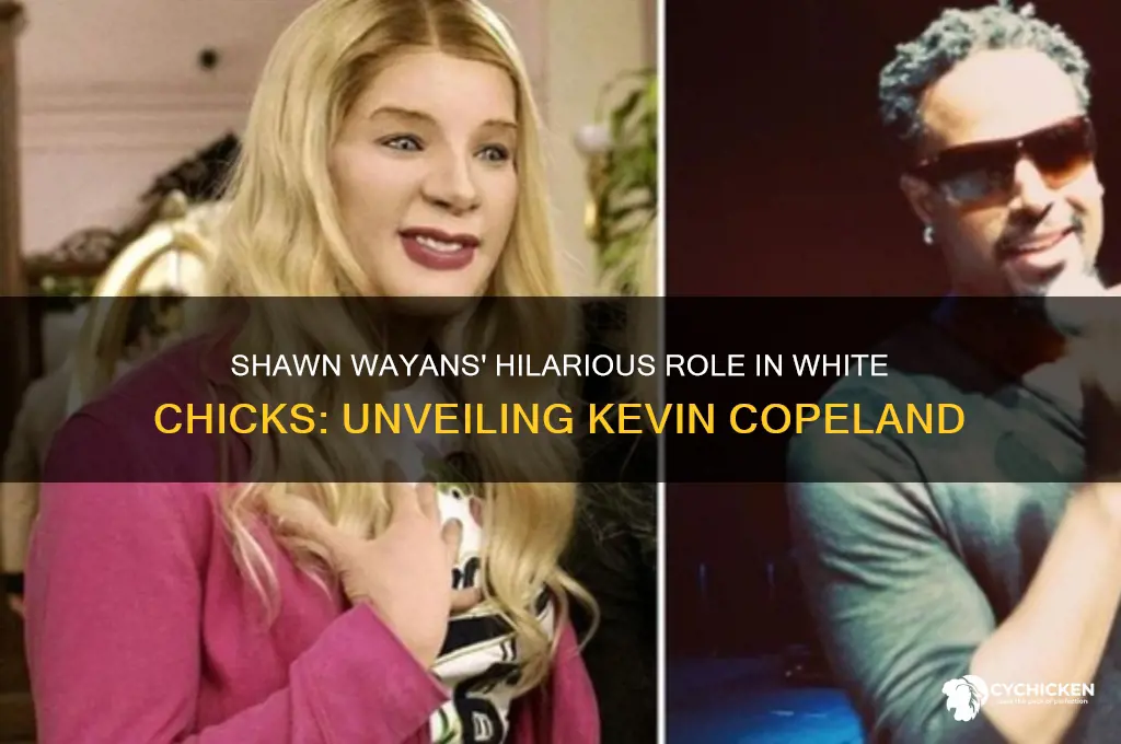 who does shawn wayans play in white chicks