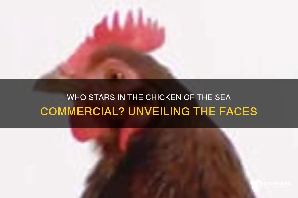 who does the chicken of the sea commercial