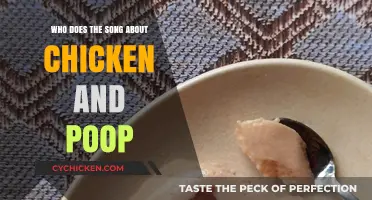 Who Sang the Hilarious Chicken and Poop Song? Uncovering the Artist