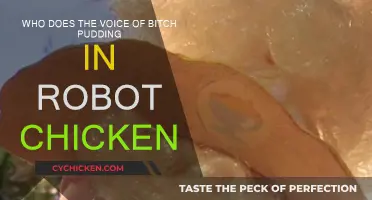 Who Voiced Bitch Pudding in Robot Chicken?