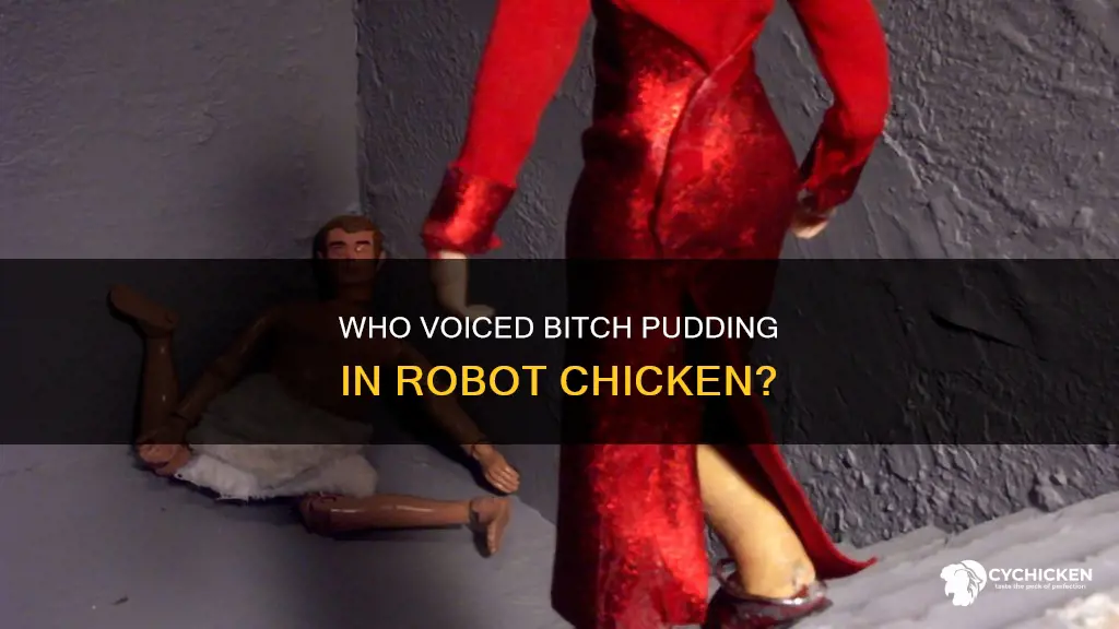 who does the voice of bitch pudding in robot chicken