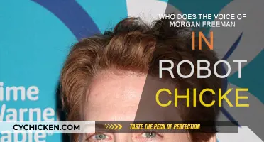 Who Voiced Morgan Freeman in Robot Chicken?