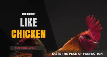Who Doesn't Like Chicken? Exploring the Universal Love for Poultry