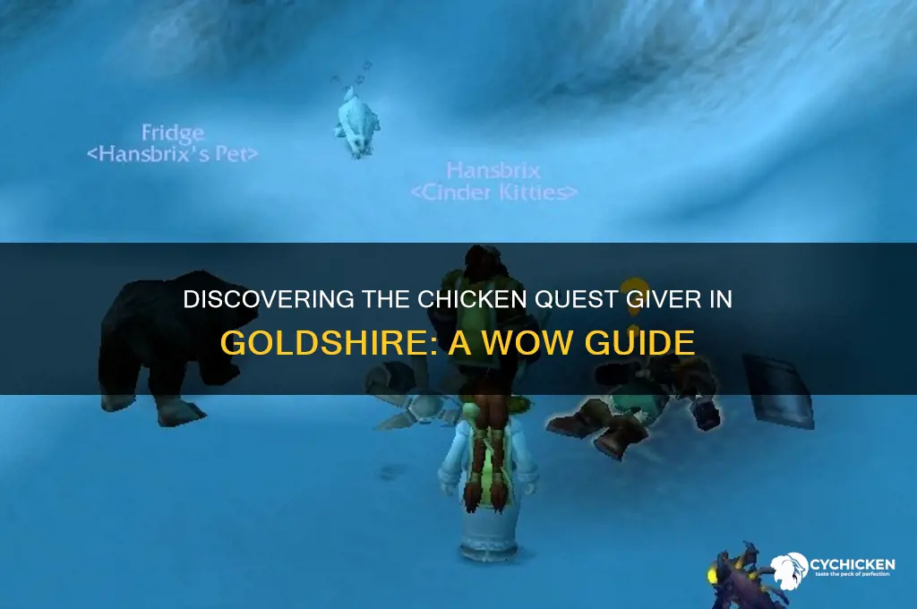 who gives out the chicken qest in goldshirs