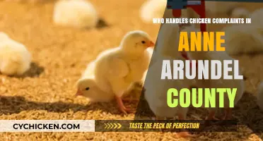 Anne Arundel County Chicken Complaints: Who Handles Poultry Issues?
