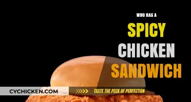 Who Serves the Best Spicy Chicken Sandwich Near You?