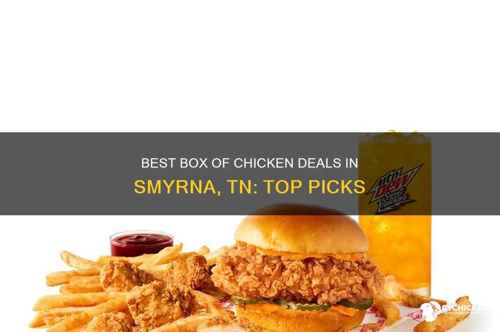 who has best buy on box of chicken smyrna tn