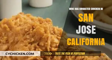 Discover San Jose's Best Broasted Chicken Spots: A Tasty Guide