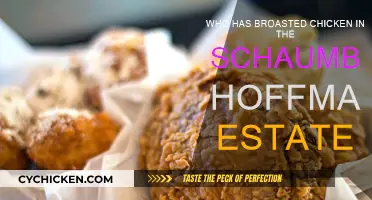 Where to Find Broasted Chicken in Schaumburg Hoffman Estates