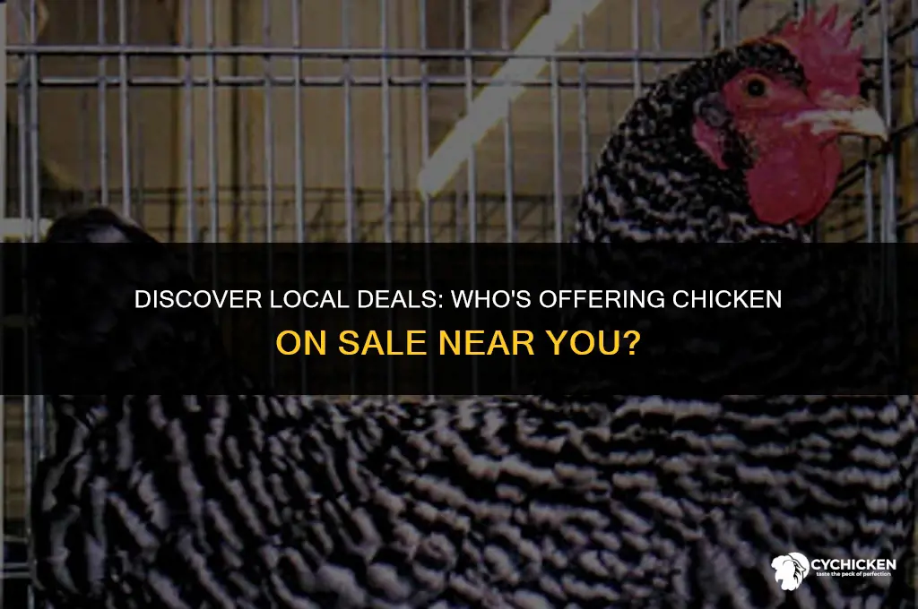 who has chicken on sale in my area