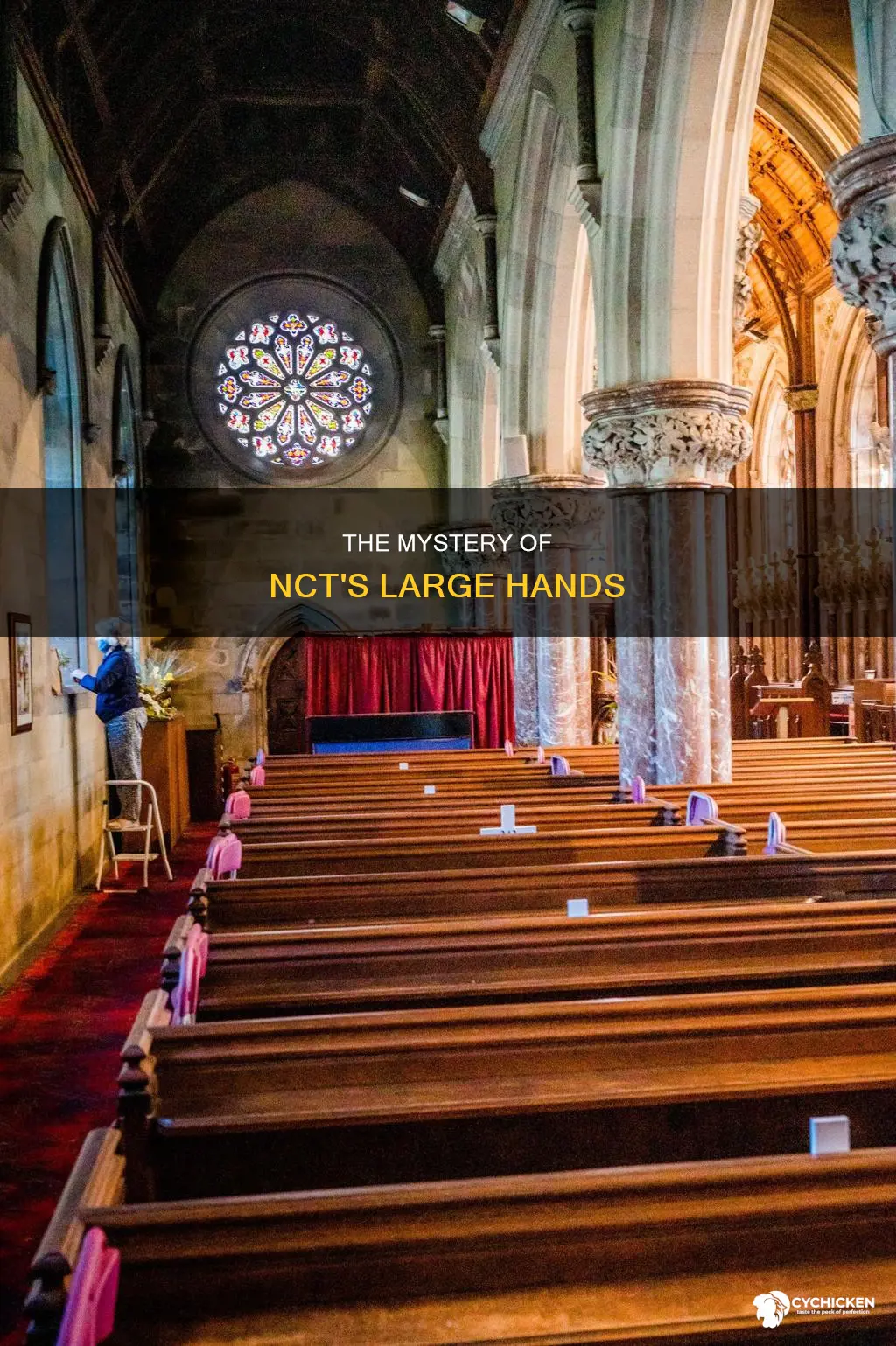 who has large hands not chicken hands in nct