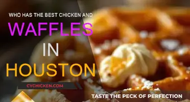 Houston's Top Chicken and Waffles: Where to Go?