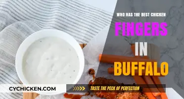 Buffalo's Best Chicken Fingers: A Tasty Quest for the Top Spot