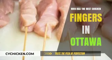 Ottawa's Best Chicken Fingers: A Tasty Quest for the Top Spot