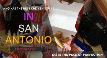 San Antonio's Best Chicken Strips: Crispy, Tender, and Delicious!