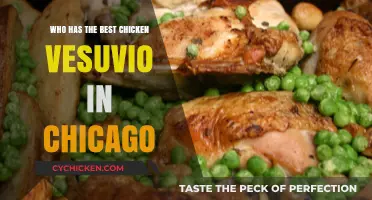 Chicago's Best Chicken Vesuvio: A Tasty Quest for the Top Spot