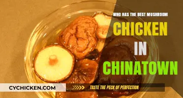 Chinatown's Best Mushroom Chicken: A Culinary Quest for Perfection