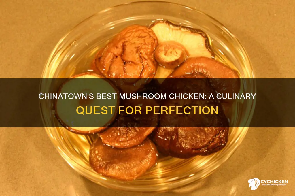 who has the best mushroom chicken in chinatown