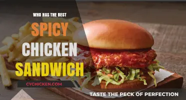 Battle of the Best: Who Makes the Fiercest Spicy Chicken Sandwich?