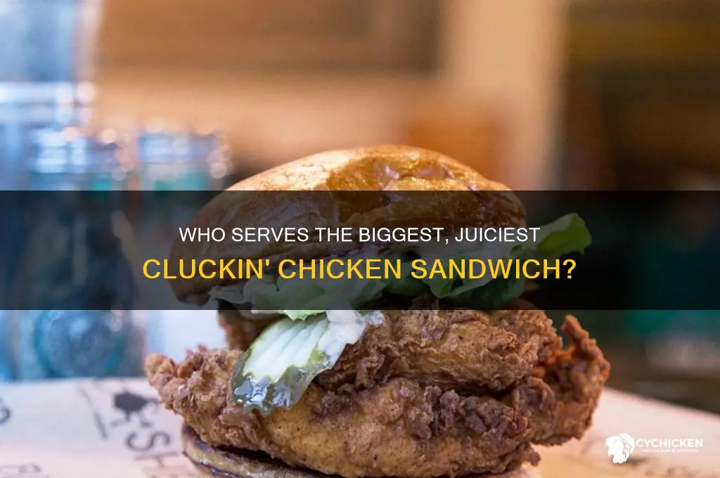 who has the big cluckin chicken sandwich
