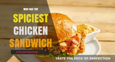 Battle of the Fiery Birds: Who Serves the Spiciest Chicken Sandwich?