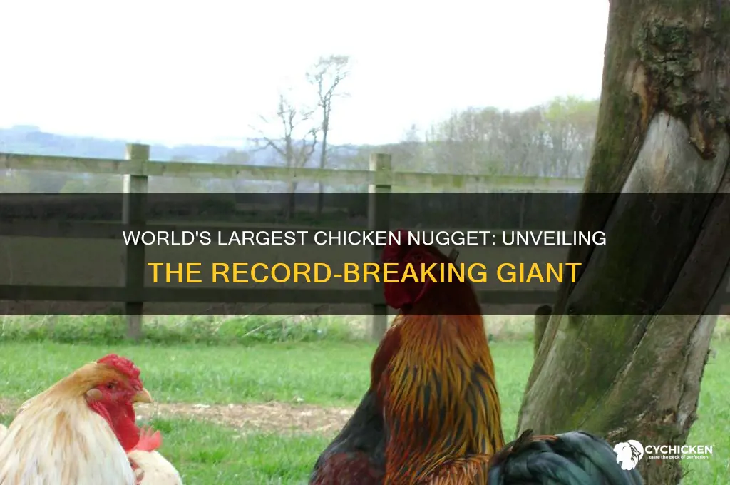 who has the world record for the biggest chicken nugget