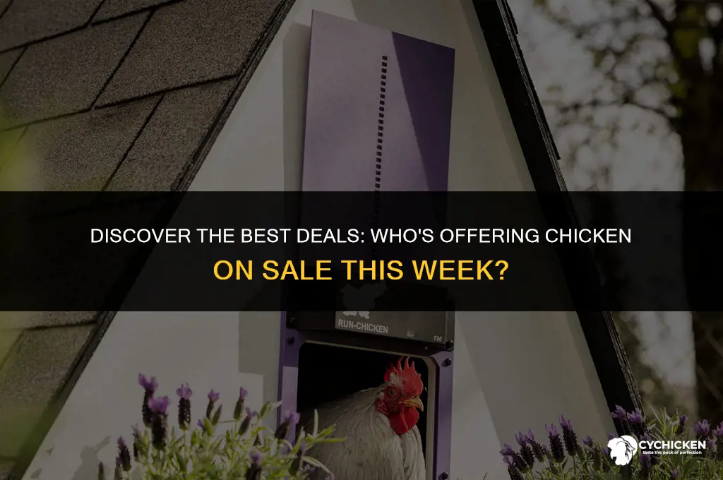 who have chicken on sale