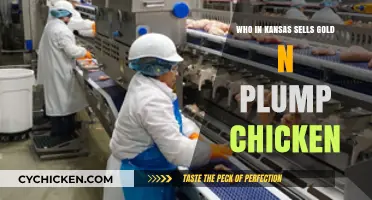 Where to Buy Gold'n Plump Chicken in Kansas: Top Retailers