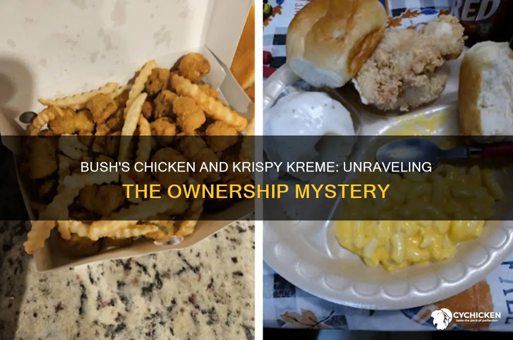 who is bushes chicken owned by krispy kreme