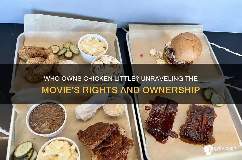 who is chicken little owned by the movie