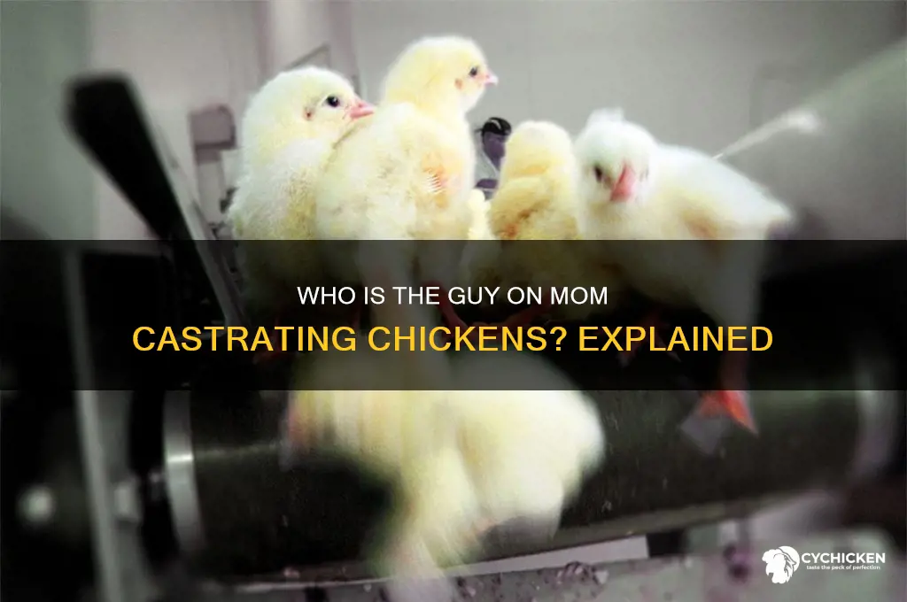 who is ghe guy on mom castratwd chicken