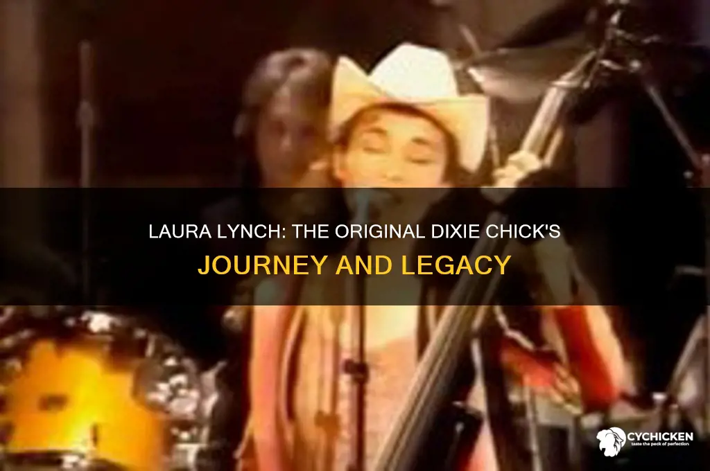 who is laura lynch from the dixie chicks