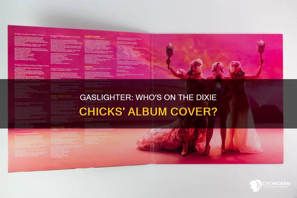 who is on the cover of dixie chicks gaslighter