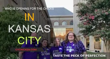 Opening Act for the Chicks in Kansas City