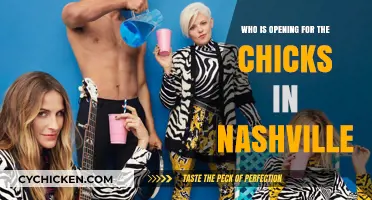 Nashville's Chicks Concert: Meet the Exciting Opening Act Lineup