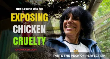 Roofer Sued for Exposing Chicken Cruelty: Whistleblower or Liability?