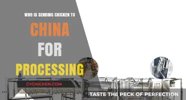 Who's Shipping Chicken to China for Processing? Uncovering the Supply Chain