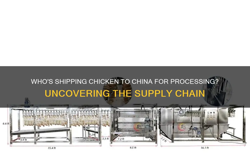 who is sending chicken to china for processing