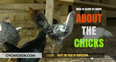 Who Is Sleep at Night About the Chicks? Unraveling the Mystery