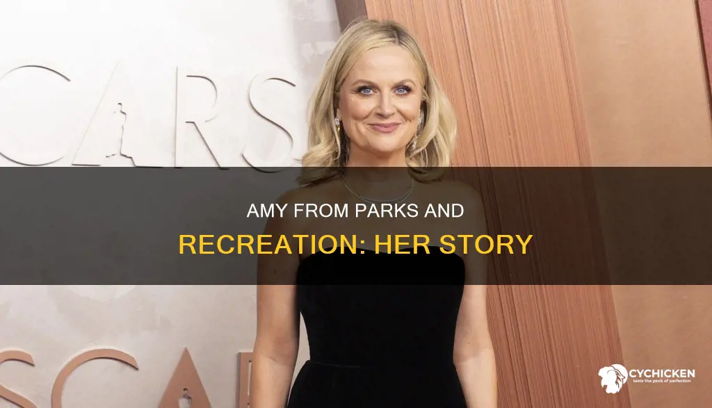 who is that amy chick from parks and recreation