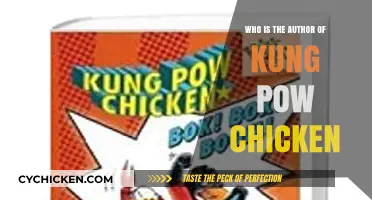 Unveiling the Creator Behind the Kung Pow Chicken Series